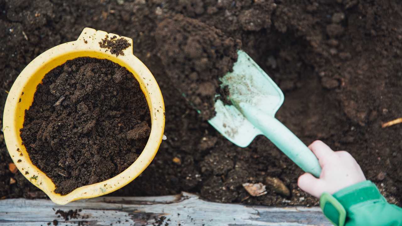 Fäkalien können zu nährstoffhaltigem Kompost führen.